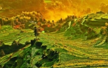 这个获得联合国地球卫士奖的村子有什么秘密吗,地球卫士奖塞罕坝