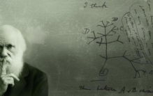 地球是监狱的证据,地球是不是一个监狱