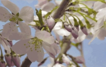 渠首为啥不是邓州,邓州渠首景区