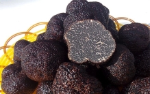 黑松露是什么东西 黑松露为什么那么贵（野生真菌）