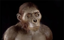 人类始祖起源于非洲,最早期的人类祖先