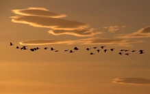董元奔解魏野诗登原州城呈张蕡从事