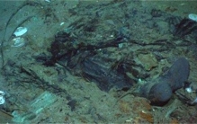 沉没100多年的泰坦尼克号 残骸早已被发现为何碰都不让碰