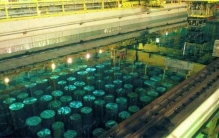 假如你不小心掉入“核废料池”，是会变异，还是会与世长辞？