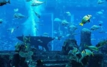 揭秘台湾澎湖海底发现远古文明，一万年前古城(来历不明)