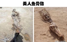 传说中的5个关于美人鱼的目击事件(美人鱼的十种可怕传说)