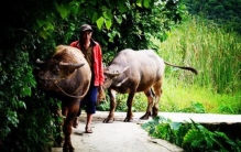 湖南山村惊现神秘山洞,湖南发现神奇石洞