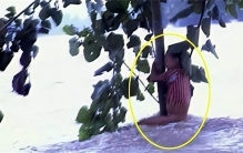 98年特大洪水，6岁女孩抱紧大树9小时获救，如今职业振奋人心