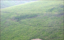 俄罗斯太空飞船事故,俄罗斯火鹰巢