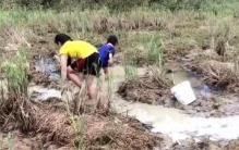 你的家乡在城市还是农村