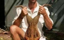 美国巨蟒成灾,没灭绝的巨蟒