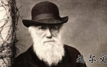 达尔文的人类起源(进化的内因和外因)