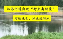 奥特曼在河边抓鱼(奥特曼在河边抓鱼)