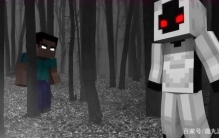 第二册我的世界长篇小说之实体303的传说免费阅读,我的世界实体303的悲惨的故事