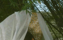 鬼最怕的六个星座,鬼都害怕的五大星座