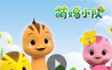 萌鸡小队四只小鸡「萌鸡小队告诉我们要四胎」