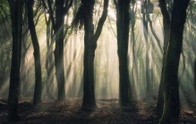 四川最恐怖的山(世界最危险的原始森林)