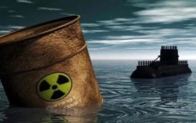 一只变异狼从切尔诺贝利逃出,切尔诺贝利的变异事件