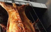 烤小羊羔多少钱一只,平顶山正宗烤全羊