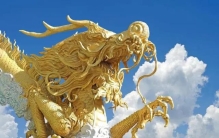 千年大蛇渡劫事件,风水大师讲解蛇的故事