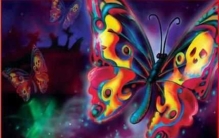 卡申夫鬼美人凤蝶传说是真的吗,凤蝶和卡申夫的传说