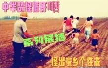 安徽奇闻怪事「安徽21大怪道出徽人脾性来(下集)」