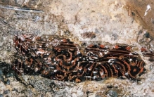 探索发现老山汉墓,历史有事说老山汉墓