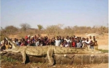 湾鳄vs尼罗鳄谁更厉害