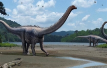 世界上体型最大的恐龙 重量有着200t（最重恐龙）