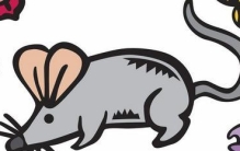 生性多疑是什么生肖(生性多疑的动物是什么生肖)