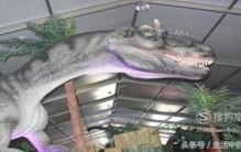 草食性恐龙都有哪些?,常见食草性恐龙