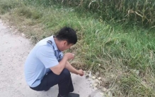 内蒙古出现尖嘴鼠每分钟心脏能跳1200下哺乳界的用毒高手