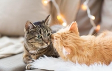 有一个人想知道天堂和地狱的区别,天堂与地狱的区别