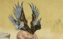 四大神兽vs四大凶兽vs四大灵兽「四大凶兽对应的四大神兽」