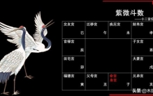 紫微斗数 十二宫,紫微斗数十二宫排布