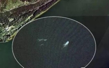 7个在世界各地发现的不明生物一个比一个诡异,世界上发现的诡异又神秘的生物