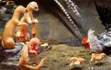 黄鼠狼向人讨封是真是假,黄鼠狼会成精吗