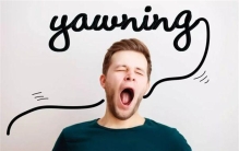 人类打哈欠的秘密 至今都没有答案（打哈欠）