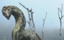 5800万年前 地球曾经发了一次“高烧” 孕育了有史以来最大的蛇