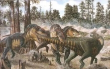 关于恐龙的10种未解谜团子,史前恐龙十大谜团