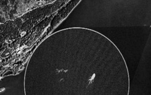 存在与湖中的怪兽到底是传说还是真的地球生物「存在与湖中的怪兽到底是传说还是真的地球生物」