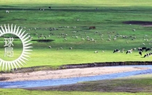 鲜卑人从哪里来的,鲜卑人去哪了