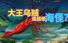 大王乌贼身长,大王乌贼是最大的海洋生物吗