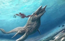 海王龙和巨齿鲨谁厉害