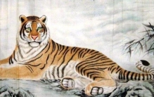 属虎的虎年为什么忌讳戴金「属虎的人遇虎年注意什么」