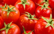 中国哪里的西红柿最好吃？中国最好吃的番茄前五名