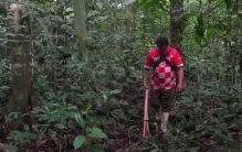 亚马孙流域国家加紧拯救世界最大雨林