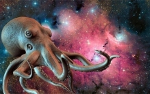 章鱼会建造水下城市  科学家：多个迹象表明  章鱼可能是外星生物