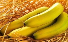 什么地方的香蕉最好吃？中国最好吃的香蕉前五名