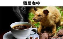 特别贵的饮料,世界最贵的饮料是什么